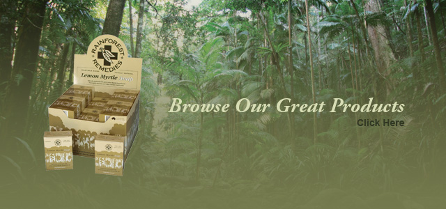 01 Browse Our Great Lemon Myrtle Products